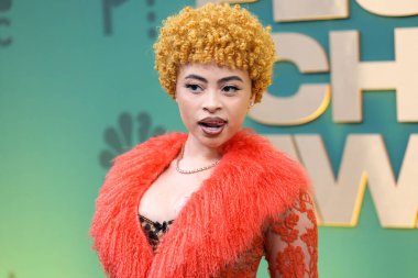 Dolce, Gabbana ve Levian mücevherleri giyen Ice Spice, 18 Şubat 2024 'te Santa Monica, Los Angeles, Kaliforniya, ABD' de düzenlenen 49. Geleneksel People 's Choice Ödülleri 2024' e ulaştı.. 