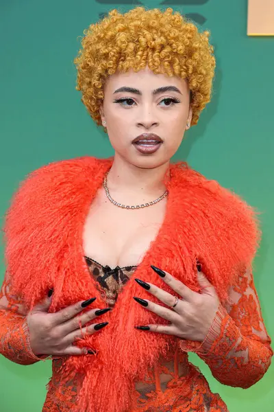 Dolce, Gabbana ve Levian mücevherleri giyen Ice Spice, 18 Şubat 2024 'te Santa Monica, Los Angeles, Kaliforniya, ABD' de düzenlenen 49. Geleneksel People 's Choice Ödülleri 2024' e ulaştı.. 