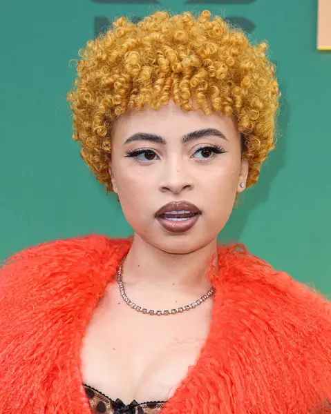 Dolce, Gabbana ve Levian mücevherleri giyen Ice Spice, 18 Şubat 2024 'te Santa Monica, Los Angeles, Kaliforniya, ABD' de düzenlenen 49. Geleneksel People 's Choice Ödülleri 2024' e ulaştı.. 