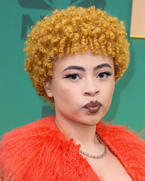 Dolce, Gabbana ve Levian mücevherleri giyen Ice Spice, 18 Şubat 2024 'te Santa Monica, Los Angeles, Kaliforniya, ABD' de düzenlenen 49. Geleneksel People 's Choice Ödülleri 2024' e ulaştı.. 