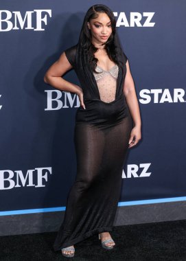 Kadianne Whyte, STARZ 'ın' BMF '(Siyah Mafya Ailesi) Los Angeles' taki galasına 29 Şubat 2024 'te Hollywood Atletizm Kulübü' nde gerçekleştirildi.. 