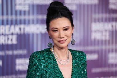 Wendi Murdoch, 13 Nisan 2024 'te Los Angeles, Kaliforniya, ABD' deki Akademi Sinema Müzesi 'nde düzenlenen 10..