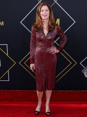 Dana Delany 15. Geleneksel TCM Klasik Film Festivali 2024 Açılış Gecesi ve Miramax 'ın' Ucuz Roman 'ının 30. Yıldönümü sunumuna 18 Nisan 2024' te Hollywood, Los Angeles, Kaliforniya, ABD 'de bulunan TCL Çin Tiyatrosu' na geldi.. 