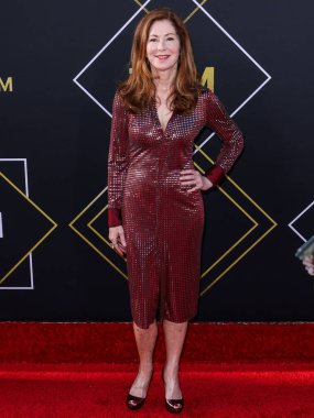 Dana Delany 15. Geleneksel TCM Klasik Film Festivali 2024 Açılış Gecesi ve Miramax 'ın' Ucuz Roman 'ının 30. Yıldönümü sunumuna 18 Nisan 2024' te Hollywood, Los Angeles, Kaliforniya, ABD 'de bulunan TCL Çin Tiyatrosu' na geldi.. 