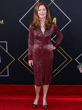 Dana Delany 15. Geleneksel TCM Klasik Film Festivali 2024 Açılış Gecesi ve Miramax 'ın' Ucuz Roman 'ının 30. Yıldönümü sunumuna 18 Nisan 2024' te Hollywood, Los Angeles, Kaliforniya, ABD 'de bulunan TCL Çin Tiyatrosu' na geldi.. 