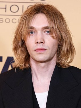 Charlie Plummer, 7 Haziran 2024 'te Fairmont Century Plaza Oteli' nde düzenlenen LGBTQ + Sinema ve Televizyon Eleştirmenleri Kutlaması 'na katılmıştır.. 