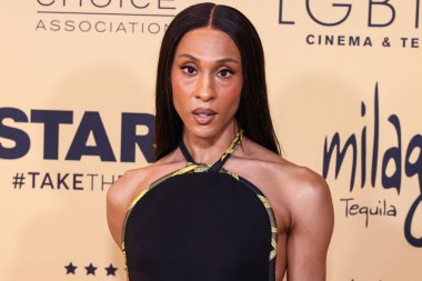 MJ Rodriguez (Michaela Jae Rodriguez), 7 Haziran 2024 tarihinde Century City, Los Angeles, Kaliforniya, ABD 'de Fairmont Century Plaza Hotel' de düzenlenen LGBTQ + Sinema ve Televizyonunun Eleştirmen Seçimi Kutlamasına katılmıştır.. 