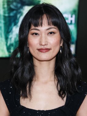 Mari Yamamoto, Apple TV + 'Monarch' a geldi: Canavarların Mirası FYC Etkinliği, 8 Haziran 2024 'te Şaban Medya Merkezi' ndeki Wolf Theatre 'da, Televizyon Sanatları ve Bilimleri Akademisi' nde, Kuzey Hollywood, Los Angeles, Kaliforniya, ABD 'de gerçekleşti.