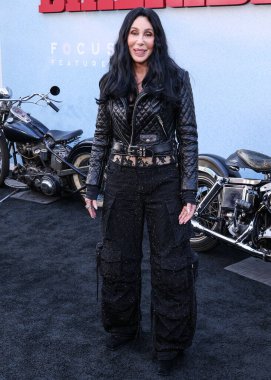 Cher, 17 Haziran 2024 'te Hollywood, Los Angeles, Kaliforniya, ABD' deki TCL Çin Tiyatrosu IMAX 'te düzenlenen Odak Özellikleri' nin Los Angeles prömiyerine geldi..