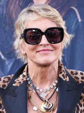 Sharon Stone, 17 Haziran 2024 'te Hollywood, Los Angeles, Kaliforniya, ABD' deki TCL Çin Tiyatrosu IMAX 'te düzenlenen Odak Özellikleri' nin Los Angeles prömiyerine geldi..