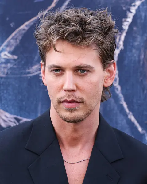 stock image Austin Butler arrives at the Los Angeles Premiere Of Focus Features' 'The Bikeriders' held at the TCL Chinese Theatre IMAX on June 17, 2024 in Hollywood, Los Angeles, California, United States.