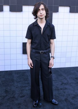 Aidan Gallagher Netflix 'in 