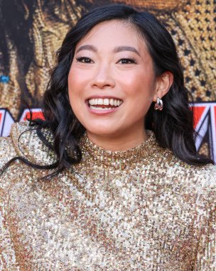 Awkwafina, Amazon MGM Stüdyoları 'nın Los Angeles galasına geldi. 13 Ağustos 2024 'te Hollywood, Los Angeles, Kaliforniya, ABD' deki TCL Çin Tiyatrosu 'nda düzenlendi.. 