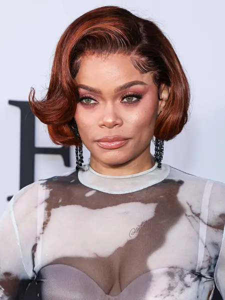 stock image Andra Day arrives at the Los Angeles Premiere Of Netflix's 'The Deliverance' held at the Netflix Tudum Theater on August 28, 2024 in Hollywood, Los Angeles, California, United States. 