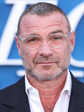 Liev Schreiber, Netflix 'in 
