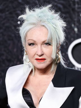Cyndi Lauper, 11 Eylül 2024 'te UBS Arena' da düzenlenen 2024 MTV Video Müzik Ödülleri 'ne ulaştı.. 