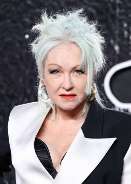 Cyndi Lauper, 11 Eylül 2024 'te UBS Arena' da düzenlenen 2024 MTV Video Müzik Ödülleri 'ne ulaştı.. 