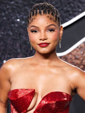 Halle Bailey, 11 Eylül 2024 'te UBS Arena' da düzenlenen 2024 MTV Video Müzik Ödülleri 'ne ulaştı..