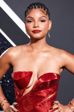 Halle Bailey, 11 Eylül 2024 'te UBS Arena' da düzenlenen 2024 MTV Video Müzik Ödülleri 'ne ulaştı..