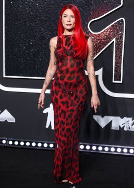 Klasik Versace giyen Halsey, 11 Eylül 2024 'te UBS Arena' da düzenlenen 2024 MTV Video Müzik Ödülleri 'ne ulaştı..