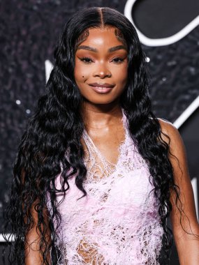 Lola Brooke, 11 Eylül 2024 'te UBS Arena' da düzenlenen 2024 MTV Video Müzik Ödülleri 'ne ulaştı.. 