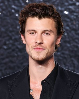 Dolce ve Gabbana 'yı giyen Shawn Mendes, 11 Eylül 2024' te UBS Arena 'da düzenlenen 2024 MTV Video Müzik Ödülleri' ne ulaştı.. 