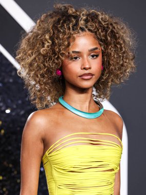 Tyla Laura Seethal Giyim Alanı, 11 Eylül 2024 'te UBS Arena' da düzenlenen 2024 MTV Video Müzik Ödülleri 'ne ulaştı.. 