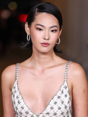 Ellis Ahn, Los Angeles Mucize Mile, Los Angeles, Kaliforniya, ABD 'de 2 Kasım 2024 tarihinde Los Angeles County Sanat Müzesi' nde düzenlenen Gucci tarafından sunulan 13. Geleneksel LACMA Sanat + Film Galası 2024 'e geldi..