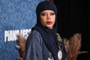Erykah Badu, Netflix 'in 