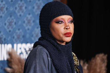 Erykah Badu, Netflix 'in 