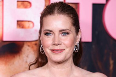 Amy Adams, 20 Kasım 2024 'te Hollywood, Los Angeles, Kaliforniya, ABD' deki Sinema Sanatları Akademisi Linwood Dunn Tiyatrosu 'nda düzenlenen Searchlight Pictures' ın Gece Sürtüğü 'nün Los Angeles galasına geldi..