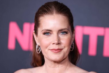 Amy Adams, 20 Kasım 2024 'te Hollywood, Los Angeles, Kaliforniya, ABD' deki Sinema Sanatları Akademisi Linwood Dunn Tiyatrosu 'nda düzenlenen Searchlight Pictures' ın Gece Sürtüğü 'nün Los Angeles galasına geldi..