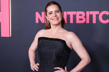 Amy Adams, 20 Kasım 2024 'te Hollywood, Los Angeles, Kaliforniya, ABD' deki Sinema Sanatları Akademisi Linwood Dunn Tiyatrosu 'nda düzenlenen Searchlight Pictures' ın Gece Sürtüğü 'nün Los Angeles galasına geldi..