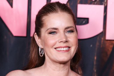 Amy Adams, 20 Kasım 2024 'te Hollywood, Los Angeles, Kaliforniya, ABD' deki Sinema Sanatları Akademisi Linwood Dunn Tiyatrosu 'nda düzenlenen Searchlight Pictures' ın Gece Sürtüğü 'nün Los Angeles galasına geldi..