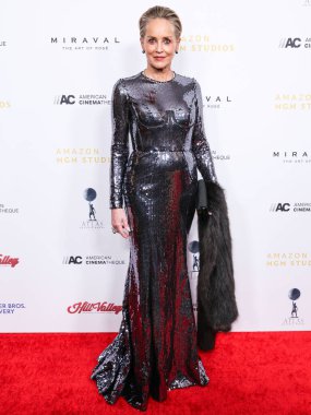 Sharon Stone, 6 Aralık 2024 'te Beverly Hilton Oteli' nde düzenlenen Jessica Chastain onuruna düzenlenen 38. Geleneksel Amerikan Sinemacılık Ödülleri 'ne geliyor..