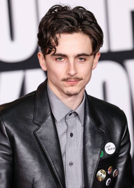 Timothee Chalamet, 10 Aralık 2024 'te Hollywood, Los Angeles, Kaliforniya, ABD' deki Dolby Tiyatrosu 'nda düzenlenen Searchlight Pictures' ın 