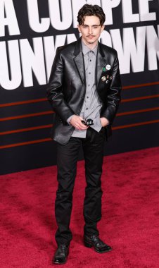 Timothee Chalamet, 10 Aralık 2024 'te Hollywood, Los Angeles, Kaliforniya, ABD' deki Dolby Tiyatrosu 'nda düzenlenen Searchlight Pictures' ın 