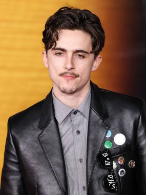 Timothee Chalamet, 10 Aralık 2024 'te Hollywood, Los Angeles, Kaliforniya, ABD' deki Dolby Tiyatrosu 'nda düzenlenen Searchlight Pictures' ın 