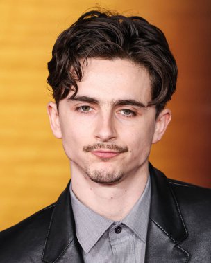 Timothee Chalamet, 10 Aralık 2024 'te Hollywood, Los Angeles, Kaliforniya, ABD' deki Dolby Tiyatrosu 'nda düzenlenen Searchlight Pictures' ın 