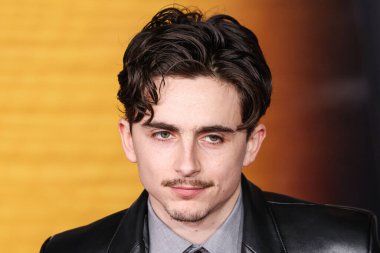 Timothee Chalamet, 10 Aralık 2024 'te Hollywood, Los Angeles, Kaliforniya, ABD' deki Dolby Tiyatrosu 'nda düzenlenen Searchlight Pictures' ın 