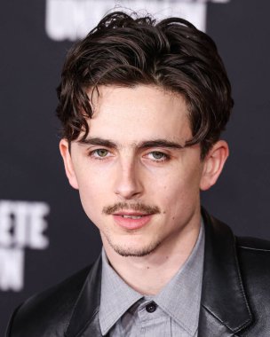Timothee Chalamet, 10 Aralık 2024 'te Hollywood, Los Angeles, Kaliforniya, ABD' deki Dolby Tiyatrosu 'nda düzenlenen Searchlight Pictures' ın 