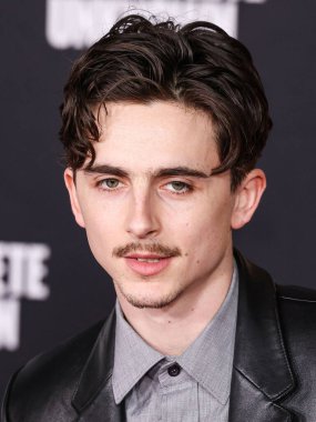 Timothee Chalamet, 10 Aralık 2024 'te Hollywood, Los Angeles, Kaliforniya, ABD' deki Dolby Tiyatrosu 'nda düzenlenen Searchlight Pictures' ın 