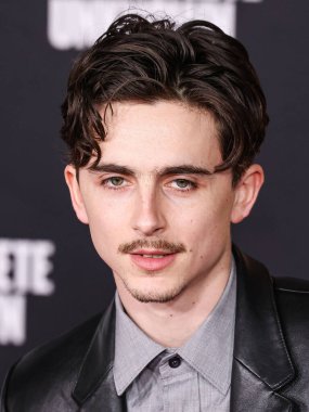 Timothee Chalamet, 10 Aralık 2024 'te Hollywood, Los Angeles, Kaliforniya, ABD' deki Dolby Tiyatrosu 'nda düzenlenen Searchlight Pictures' ın 