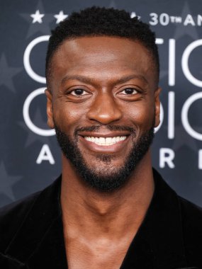 Louis Vuitton 'u giyen Aldis Hodge, 7 Şubat 2025' te Santa Monica, Los Angeles, Kaliforniya, ABD 'de düzenlenen The Barker Hangar' da düzenlenen 30..