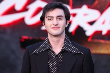 Gianni DeCenzo, Netflix 'in 