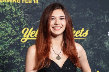 Nicole Maines, Paramount + With Showtime Orijinal Serisi 'YellowJackets' Sezon 3, 13 Şubat 2025 'te Amerika Yönetmenler Birliği (DGA) Tiyatro Kompleksi' nde düzenlenen Global Premiere of Paramount + With Showtime 'a ulaştı..