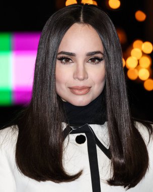 Sofya Carson (2025 SAG Ödülleri Büyükelçisi), 20 Şubat 2025 'te ABD' nin Kaliforniya eyaletinin Los Angeles kentinde düzenlenen 31..