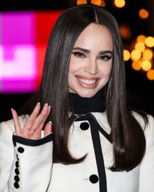 Sofya Carson (2025 SAG Ödülleri Büyükelçisi), 20 Şubat 2025 'te ABD' nin Kaliforniya eyaletinin Los Angeles kentinde düzenlenen 31..