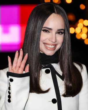 Sofya Carson (2025 SAG Ödülleri Büyükelçisi), 20 Şubat 2025 'te ABD' nin Kaliforniya eyaletinin Los Angeles kentinde düzenlenen 31..