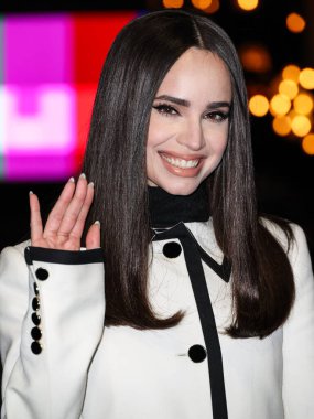 Sofya Carson (2025 SAG Ödülleri Büyükelçisi), 20 Şubat 2025 'te ABD' nin Kaliforniya eyaletinin Los Angeles kentinde düzenlenen 31..